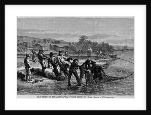 Shad-Fishing in the James River, Opposite Richmond by Anonymous