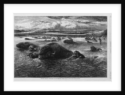 Indians Killing Buffaloes in the Missouri River by Anonymous
