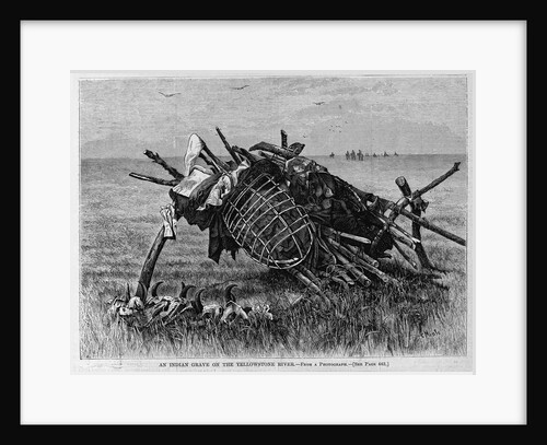 An Indian Grave on the Yellowstone River by Anonymous