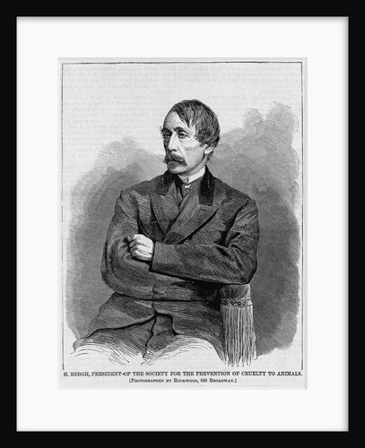 H. Bergh, president of the society for the prevention of cruelty to animals. Photographed by Rockwo