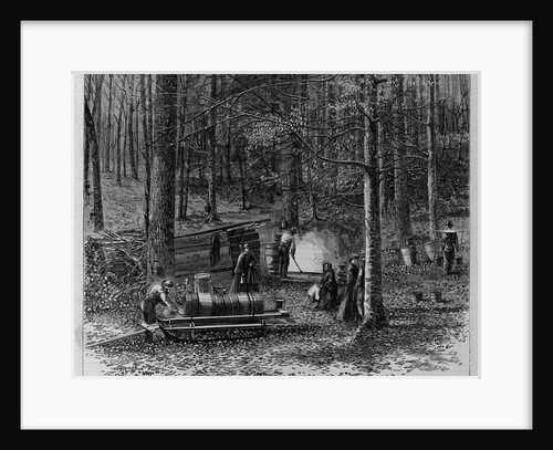 Scene in a sugar bush, Otsego County, New York by A. S. Avery by Anonymous