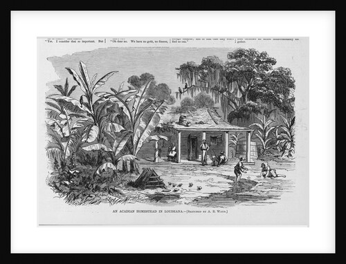 An Acadian Homestead in Louisiana Illustration by Anonymous