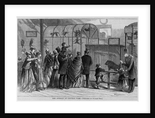 The animals at Central Park by Stanley Fox