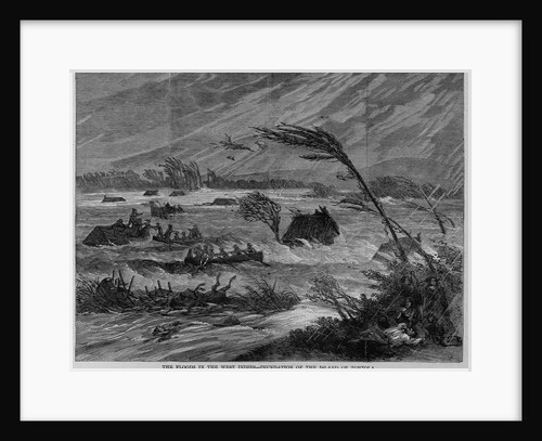 The floods in the West Indies - inundation of the island of Tortola by Anonymous