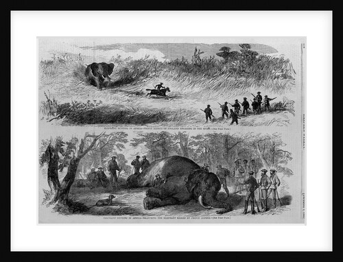 Elephant hunting in Africa - Prince Alfred of England engaging in the sport by Anonymous