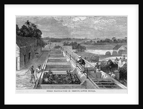 Indigo Manufacture in Tirhoot, Lower Bengal by Anonymous