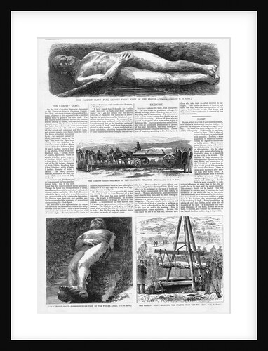Illustrations of the Cardiff Giant in Harper's Weekly by Anonymous
