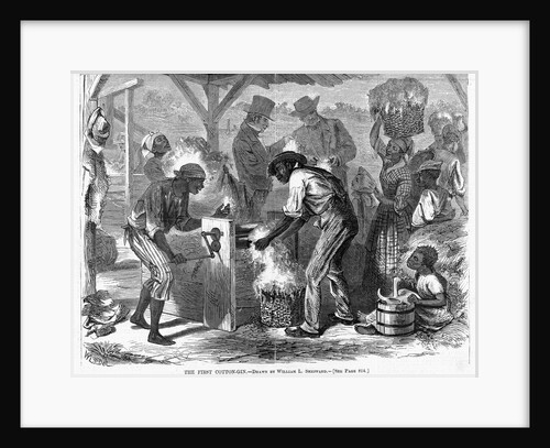 The First Cotton-Gin by Anonymous