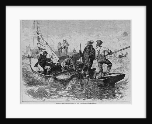 Mine Oyster - Dredging-Boats in the Chesapeake by Anonymous