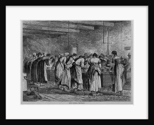 Mine Oyster - "Shucking" by Anonymous