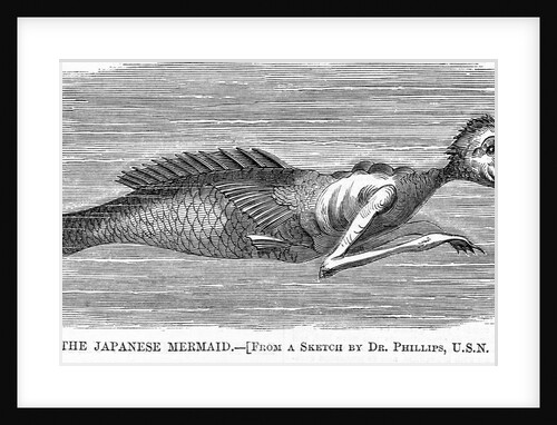 The japanese mermaid. From a sketch by Dr. Phillips, U.S.N by Anonymous
