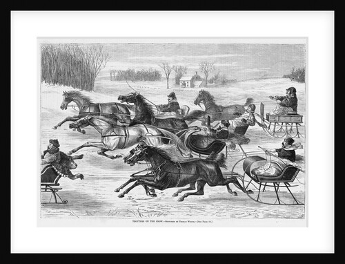 Trotters on the Snow by Anonymous