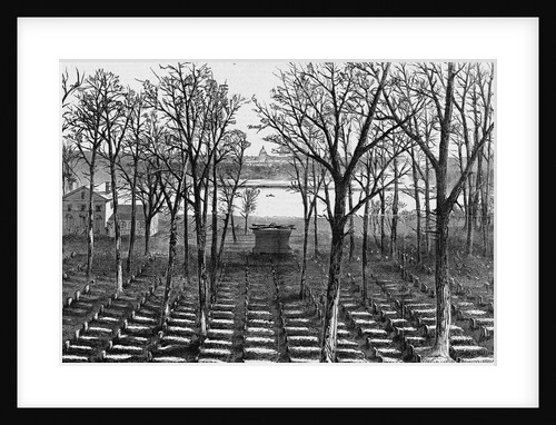 Soldiers' Cemetery at Arlington Heights, Virginia by Anonymous