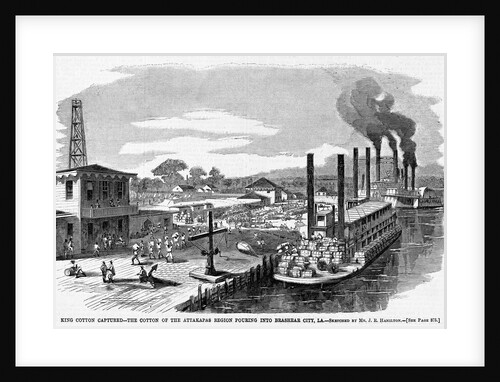 King Cotton Captured-The Cotton of the Attakapas Region Pouring Into Brashear City, LA by Anonymous