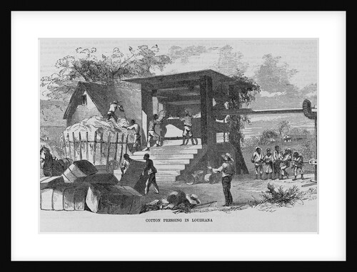 Cotton Pressing in Louisiana by Anonymous