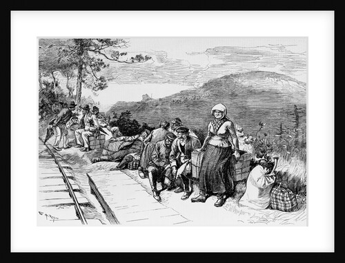 Immigrants waiting to be destributed in the coal regions of Pennsylvania from nature by W.A. Rogers