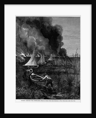 Pushing through the Everglades by Harry Fenn from sketches by Ward Harlander