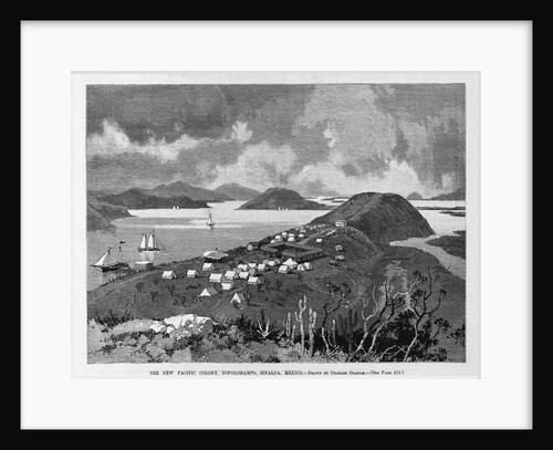 The New Pacific Colony, Topolobampo, Sinaloa, Mexico by Charles Graham