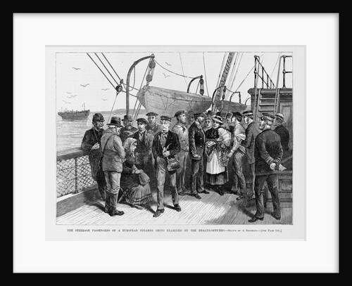 The steerage passengers of a European steamer being examined by the Health Officers by A. Berghaus