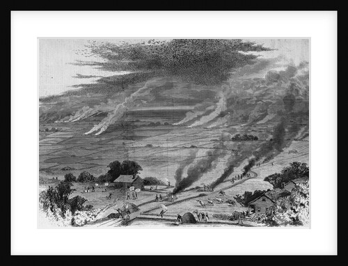 The Grasshopper Plague in Iowa - Farmers of Wright County Driving Away the Pest by Burning Straw Cove by Anonymous