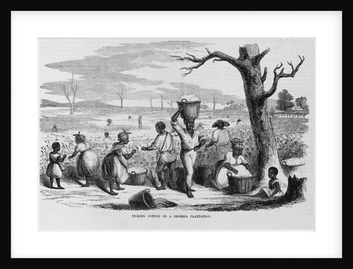Picking Cotton on a Georgia Plantation by Anonymous