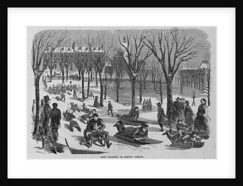 Boys Coasting on Boston Common Illustration by Anonymous
