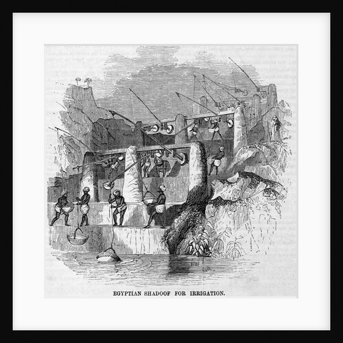 Egyptian Shadoof for Irrigation by Anonymous