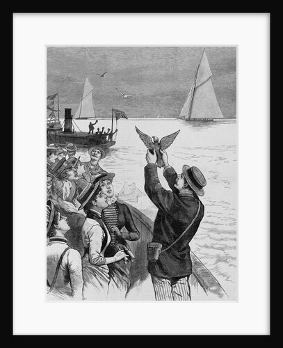The International Yacht-Races - Dispatching Carrier Pigeons with news of the progress of the race of September 7th. From a sketch by a staff artist by Anonymous