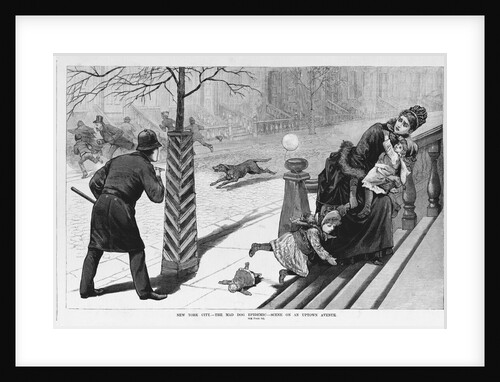 New York City. - The mad dog epidemic - scene on an uptown avenue by Anonymous