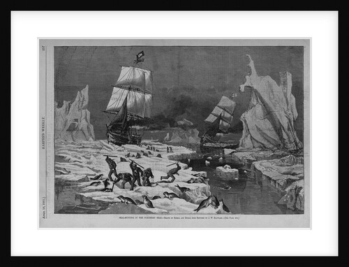 Seal hunting in the northern seas by Schell and Hogan, from sketches by J.W. Hayward