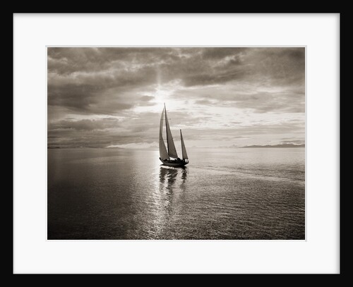 Diamond Head Yacht in Swiftsure Race by Anonymous