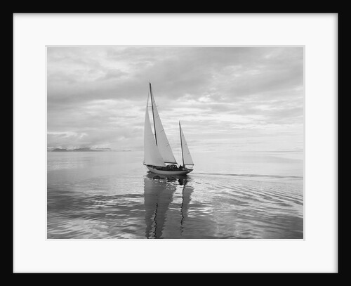 The Maruffa Sailboat in Calm Water by Anonymous