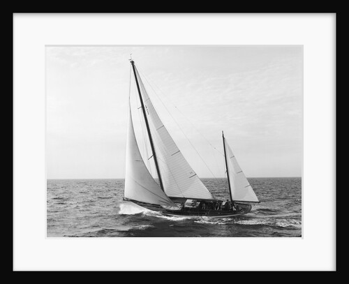 Winner of the Swiftsure Race by Anonymous