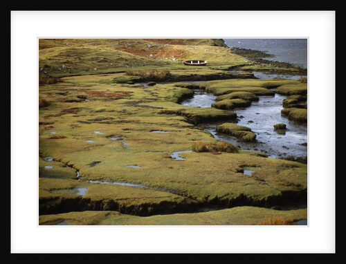 Marsh on Clew Bay by Anonymous