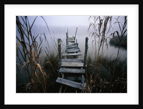 Weathered Dock in Fog by Anonymous