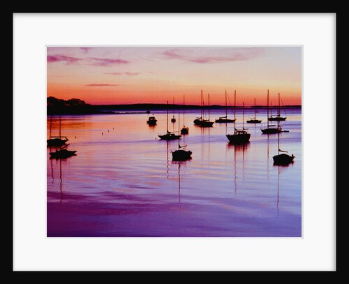 Sailboats Anchored in a Harbor by Anonymous