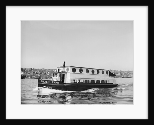 The Silver Swan on Lake Union by Anonymous