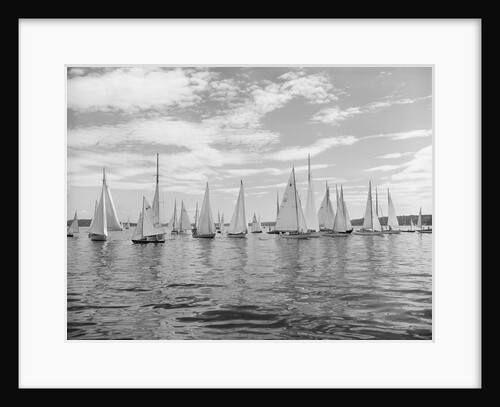 Boats Lined Up for a Race on Lake Washington by Anonymous