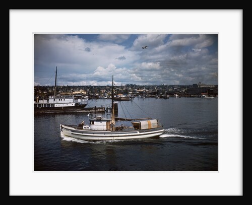 Halibut Fishing Vessel Alma in Salmon Bay by Anonymous