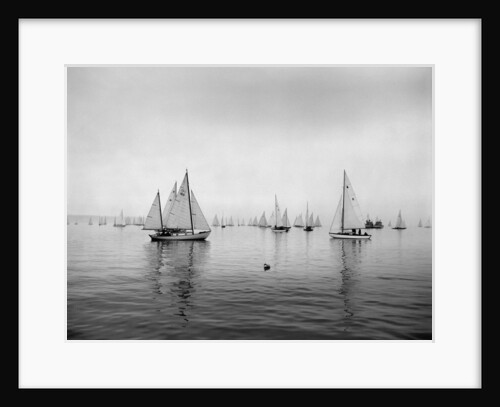 Sailboats Waiting to Race by Anonymous