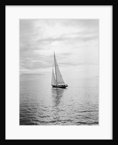Competitor in Swiftsure International Yacht Race by Anonymous