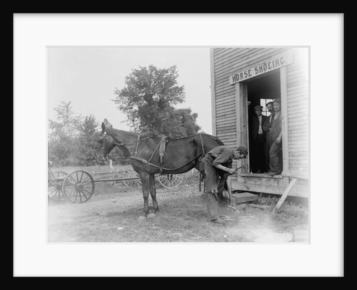 Blacksmith Shoeing a Horse by Anonymous