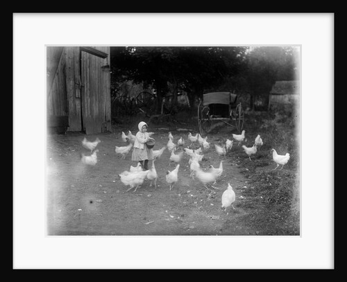 Girl Feeding Chickens by Anonymous