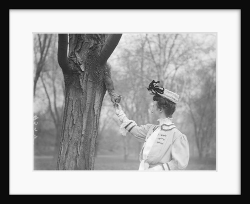 Woman Feeding a Squirrel by Anonymous
