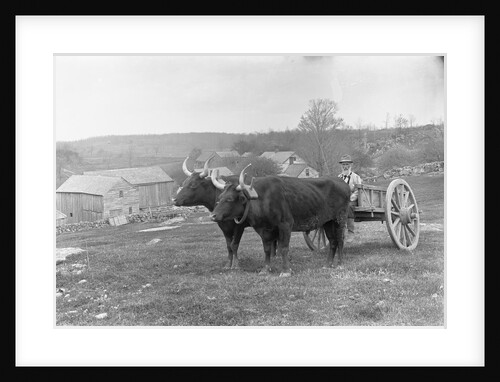 Farmer on Ox Cart by Anonymous