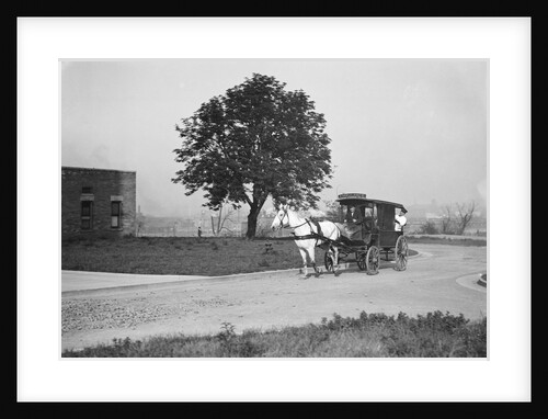 Horse-Drawn Ambulance by Anonymous