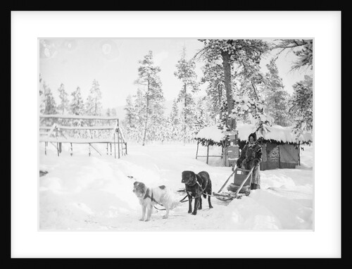 Man with Dogsled by Anonymous