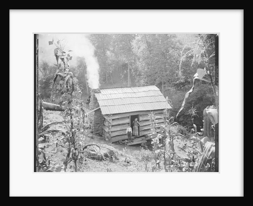 Rustic Cabin by Anonymous