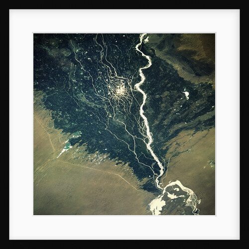 River and Cotton Fields Seen From Space by Anonymous