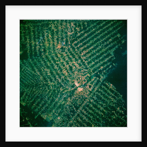 Brazilian Agricultural Fields from Space by Anonymous